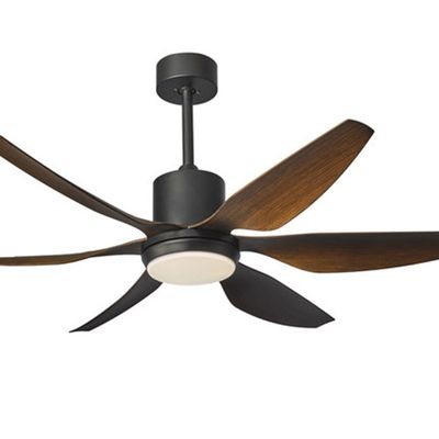 Ventilateur de plafond de bateau de 6 vitesses de 54 pouces Ventilateur de plafond à moteur à courant continu avec 6 lames ABS
