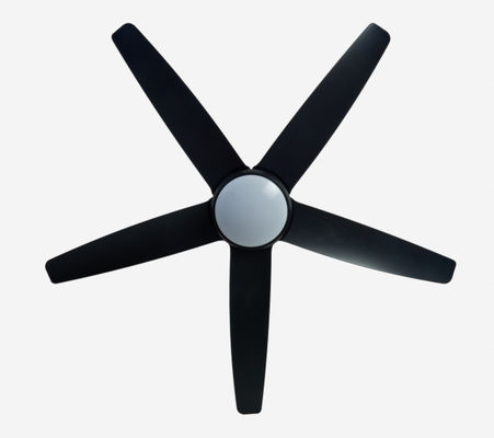 56 pouces Ventilateur de plafond à LED moderne DC Motor télécommande avec lumière pour le salon