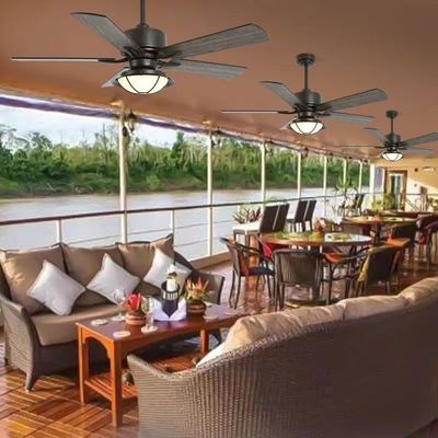 Ventilateur de plafond imperméable à l'eau avec ventilateurs résistants aux intempéries légers