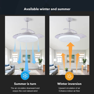 Ventilateur de plafond de chandelier réglable en 3 couleurs, lampe à commande à distance de 36 pouces, ventilateur de plafond invisible avec lumière